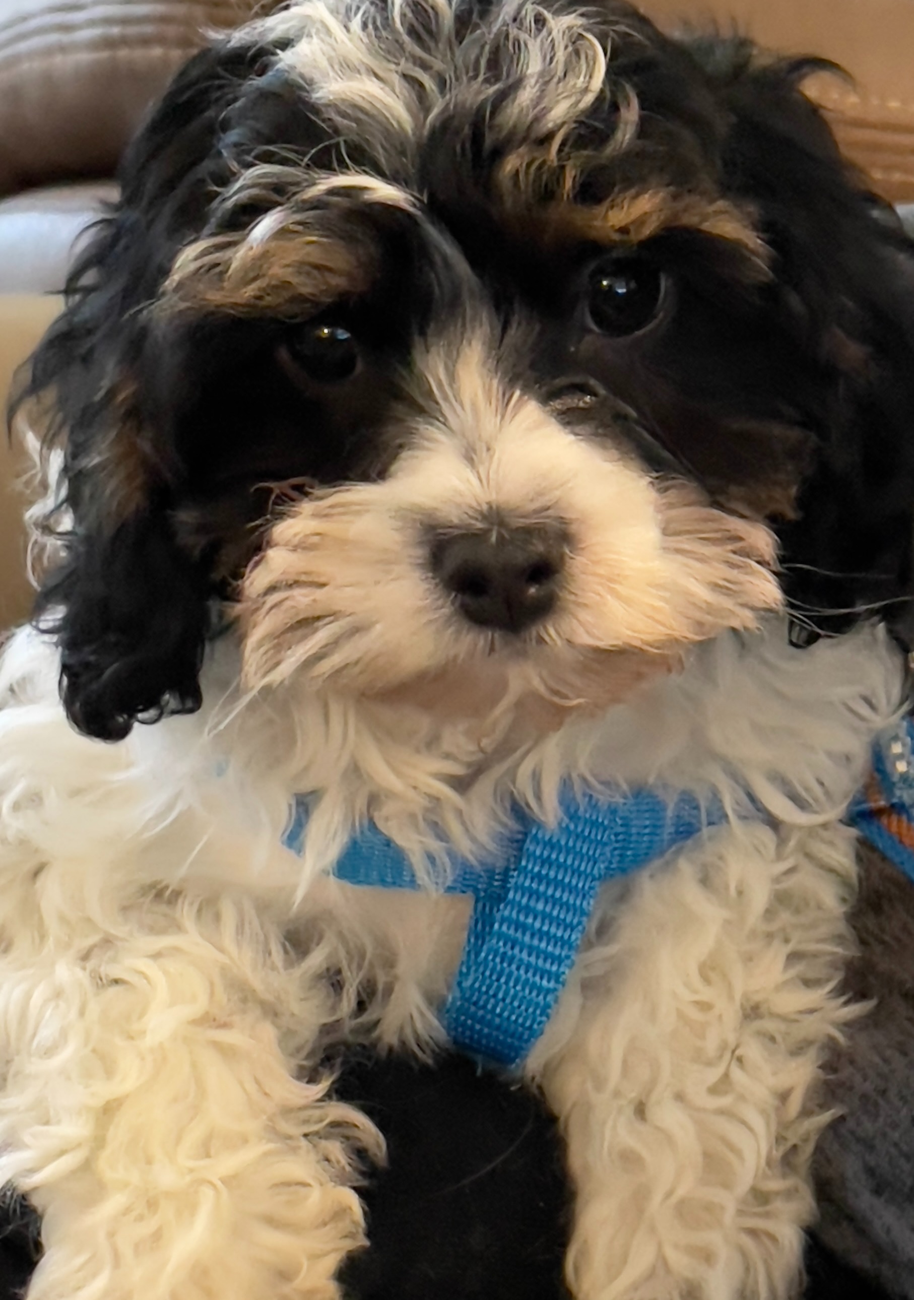 Eydee McDonald, Assistant Clerk, City of Clark Fork