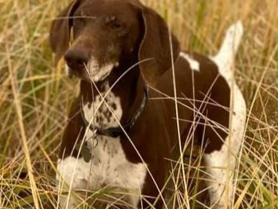 Rob Poppleton Profile Page