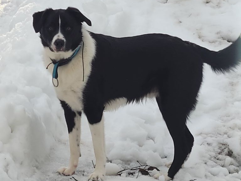 Kat King Profile Page